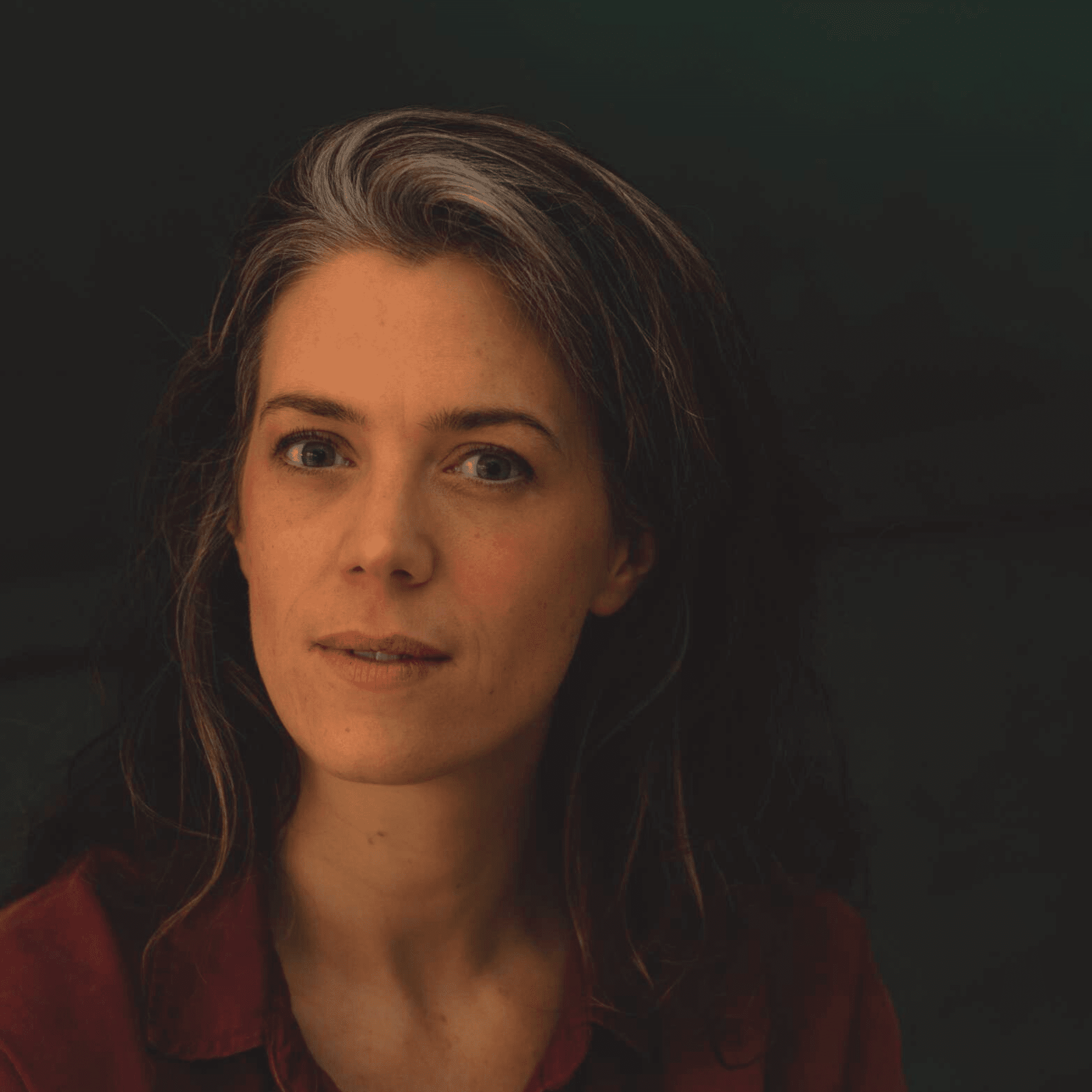 Anne Illustrations - Toverlux