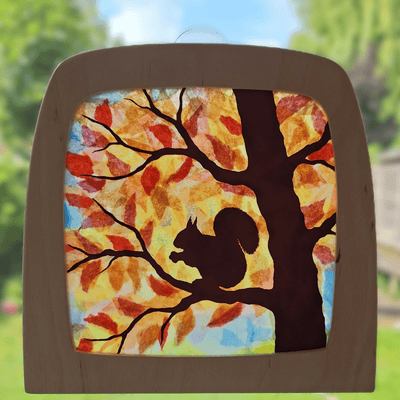DIY Transparency: Squirrel - Toverlux - Toverlux
